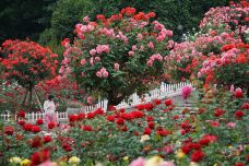 杭州西湖风景名胜区杭州花圃-杭州-在路上的Jorick
