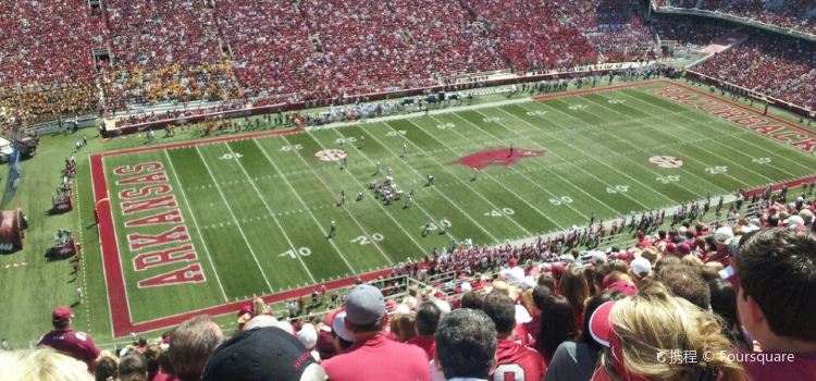 Dw Reynolds Razorback Stadium Seat Chart