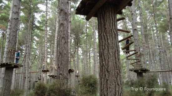 Tree Adventures