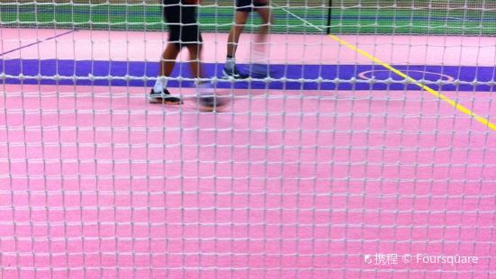 wildcatz indoor soccer