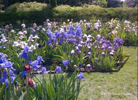Memphis Botanic Garden Travel Guidebook Must Visit Attractions In