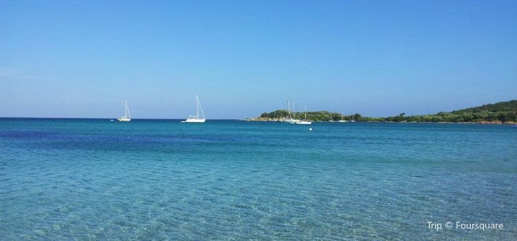 Plage De Saint Cyprien Tickets Deals Reviews Family