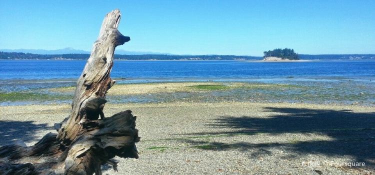 Kopachuck State Park Tide Chart