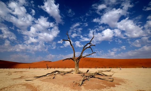 Namib-Naukluft National Park