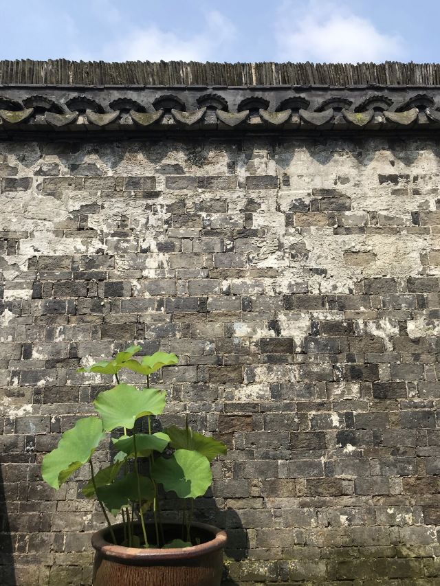 傅雷故居旅行图片 4