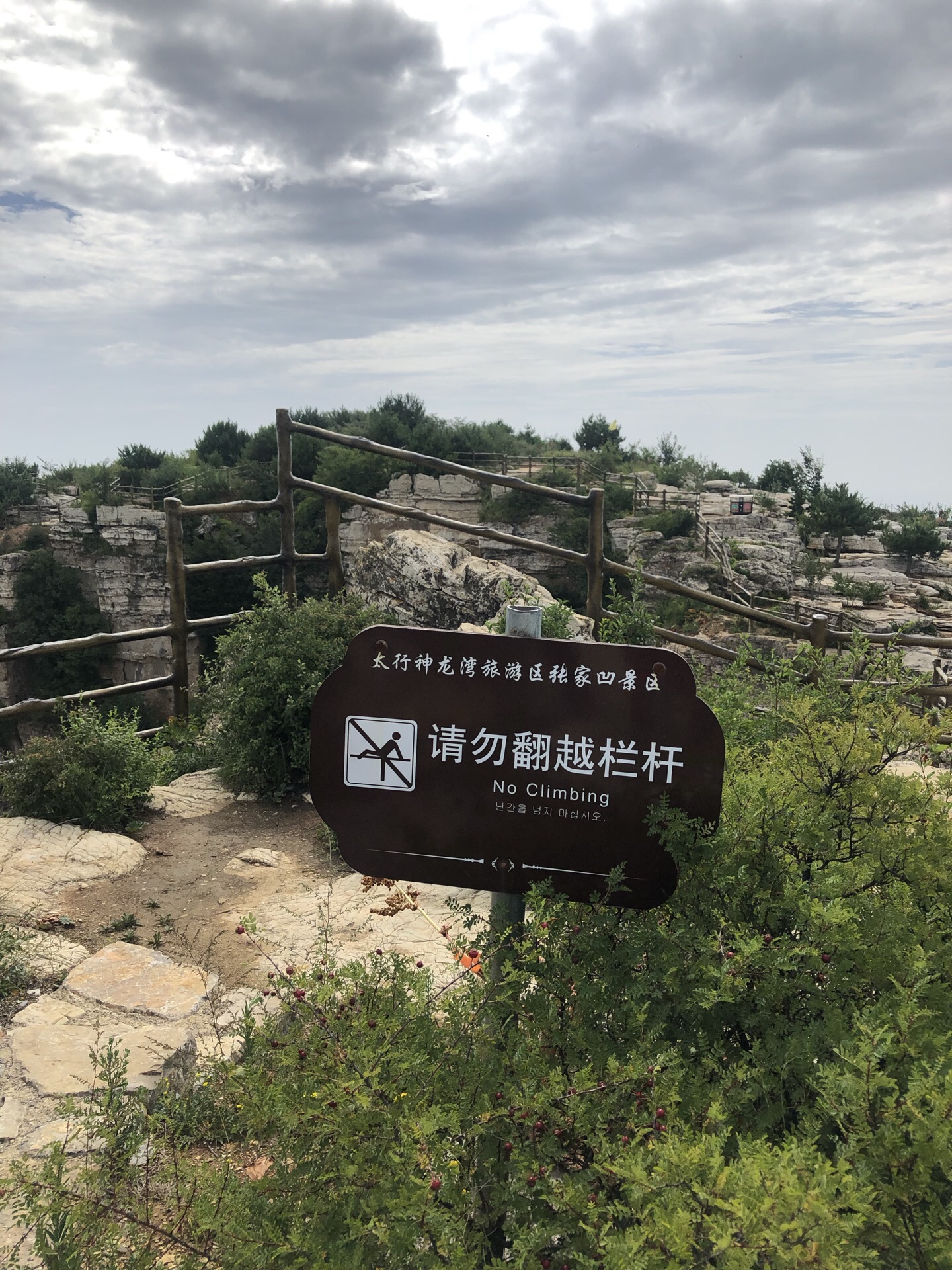 张家凹村