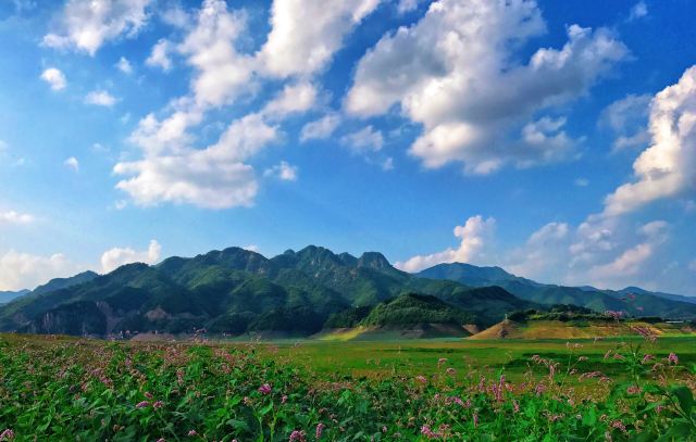 振江镇绿江村景点旅行图片 3