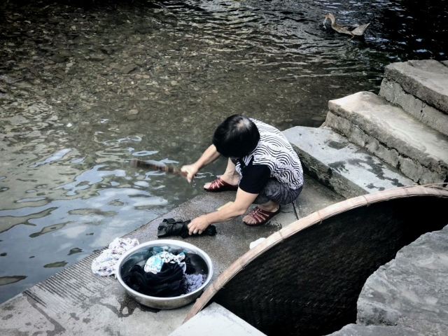 芹川村
