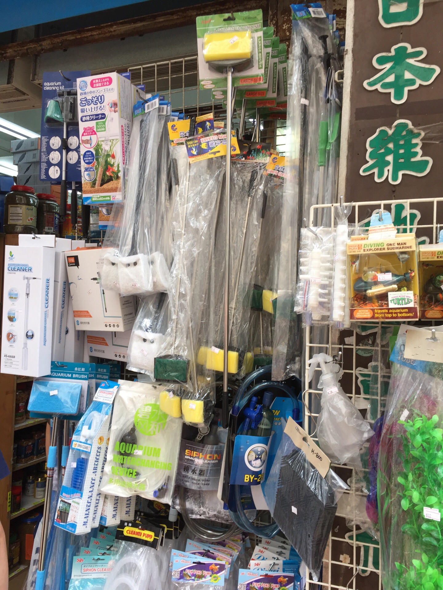 卡奇水族馆