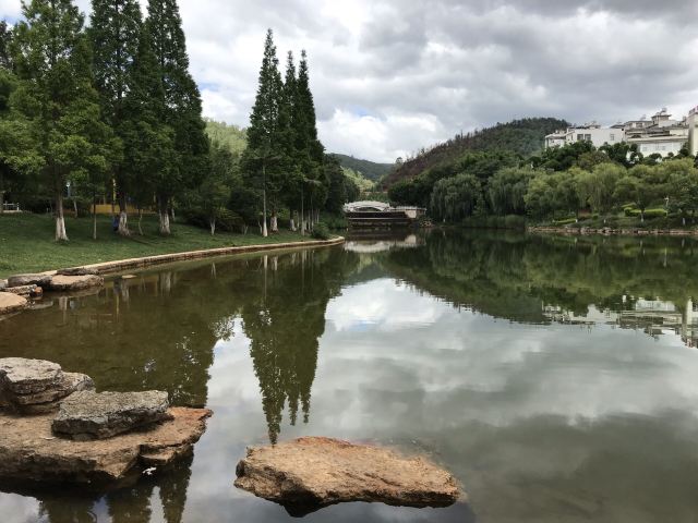 龙泉国家森林公园旅行图片 10