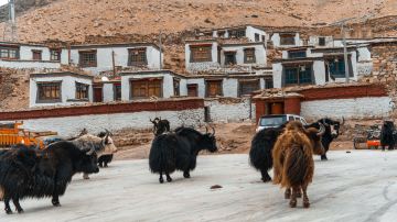 Rongbuk Temple at Mount Everest Base Camp