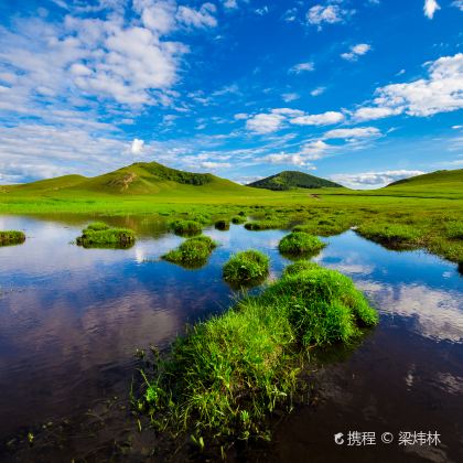 北戴河+山海关区+避暑山庄+坝上+乌兰布统旅游区+木兰围场5日4晚跟团游