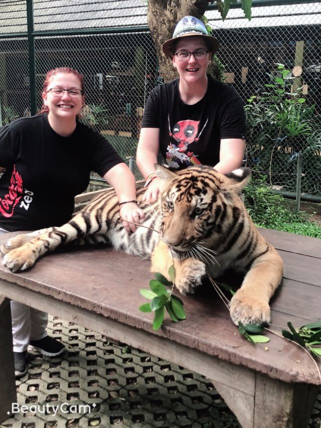 Tiger Kingdom Phuket