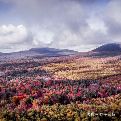沈阳+延吉+哈尔滨6日5晚跟团游