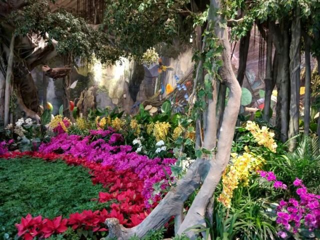 花之城
