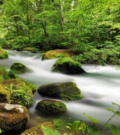 青森县游记图文-2019走进纯净青森的绿野仙踪，品味星野青森的温泉秘境