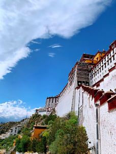 布达拉宫白宫-拉萨-YoYo_3X0X6R5S