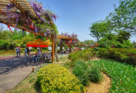 日照植物园景点图片