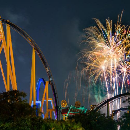 Busch Gardens Tampa Bay Attractions 艾思文 Orange County Travel