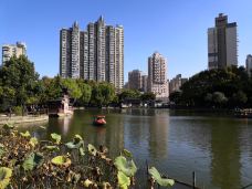 和平公园-上海-BetTerDAY