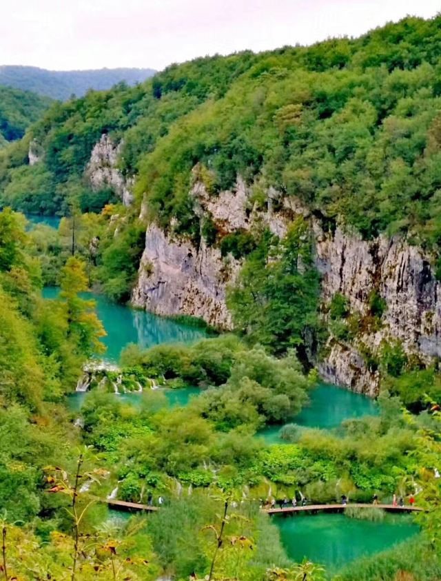 RIVA