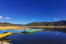 草海-盐源-自由行走的兰花