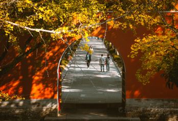 【精致10人小团】明孝陵vr体验+游中山陵+夫子庙享秦淮八绝【[舒适不赶趟]无论是中山陵台阶漫步，还是夫子庙赏景，都能从容拍照、深度游览】