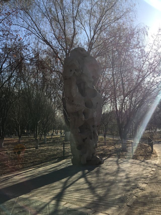 兴隆公园旅行图片 1