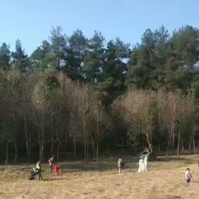 长坡岭国家森林公园旅行图片 2
