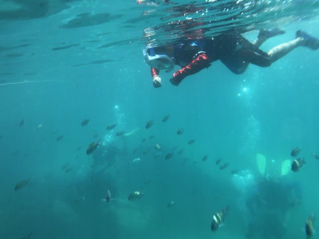 芭雅島潛水