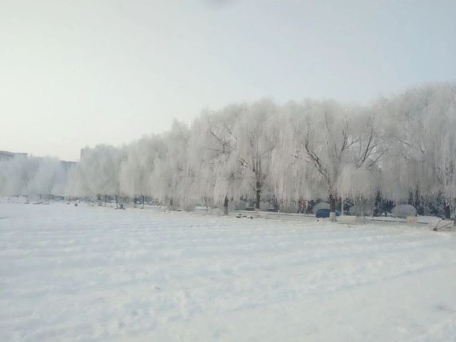 金川文化广场旅行图片 2