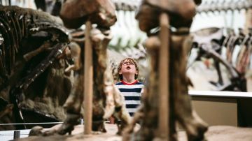 Royal Tyrrell Museum