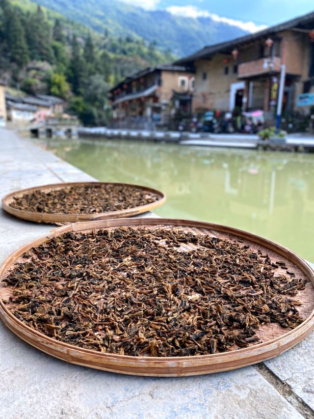 Tianluokeng Tulou Cluster