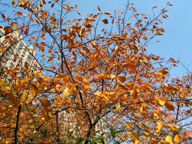 丽园公园旅行图片 3