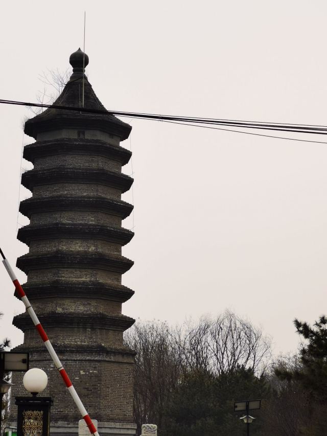 古塔公园旅行图片 1