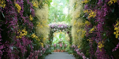 高知縣立 牧野植物園