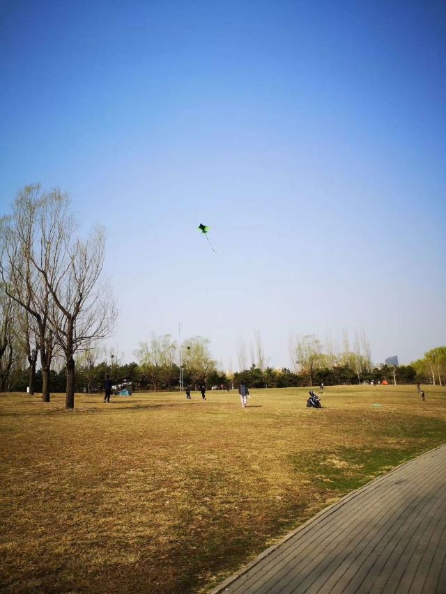 丽都花园旅行图片 1