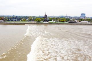 【嘉兴盐官】一城故事一江潮,观钱塘江潮、访名人故居