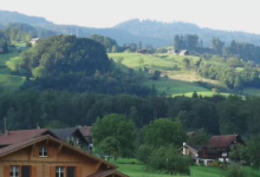 Landgasthof Grossteil美食图片