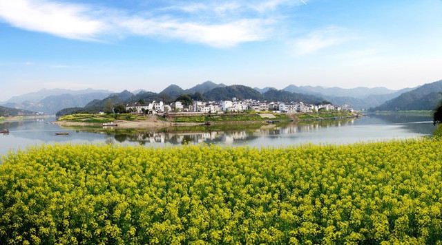 清明踏青赏花行!安徽春之美,尽在新安江山水画廊
