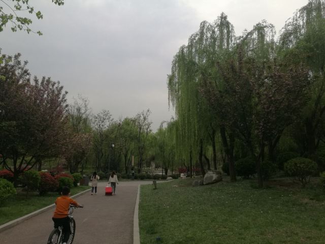 清凉山森林公园旅行图片 10