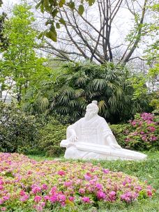 鹅岭公园-重庆-杉尼
