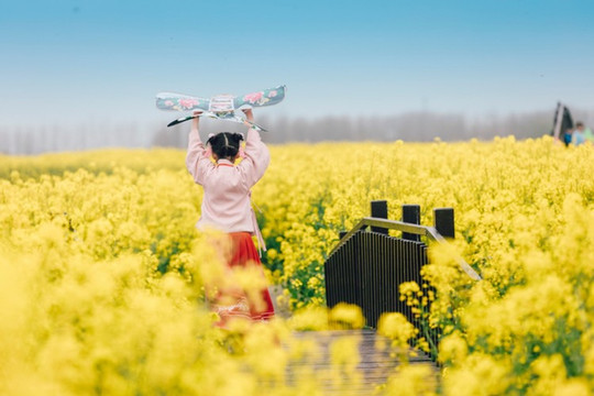 水城兴化,如诗如画