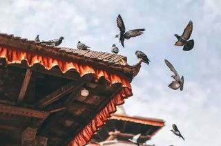 无数旅行摄影爱好者的天堂，神的国度尼泊尔宣布全国性封锁！