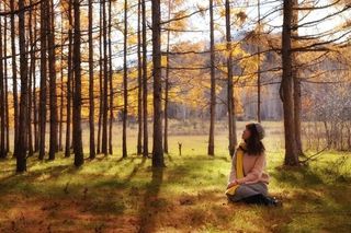 呼伦贝尔自由行攻略—呼伦贝尔大草原❤呼伦贝尔大草原