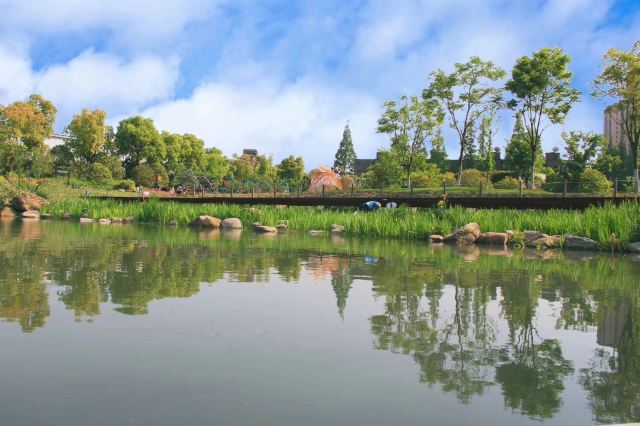 新江湾城公园旅行图片 1