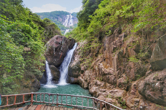 走进绿色亲近自然,去增城来一次森林浴