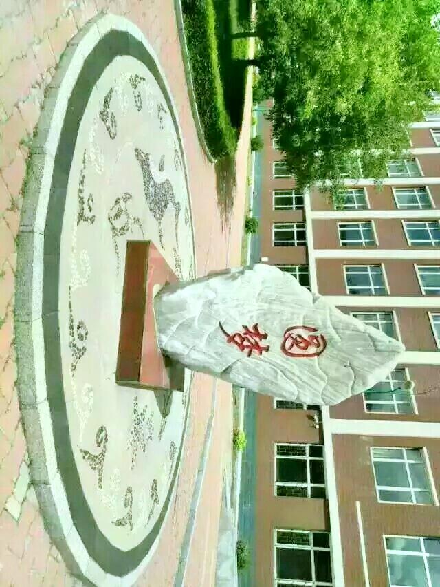 青鼎山