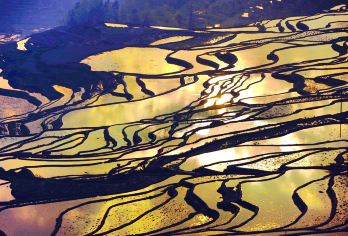 中国云南元阳哈尼梯田一日游【建水出发（不含门票、用餐）】【[品质出行]因地域问题服务的司机都是中文语言，有手机翻译软件交流，会为您提供优质服务】