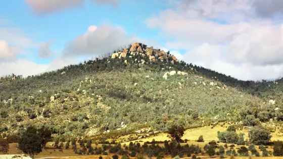 提德賓比拉自然保護區